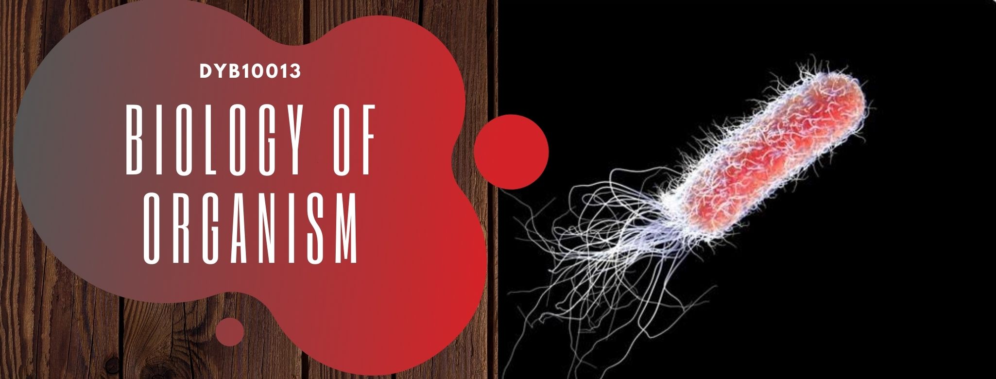 DYB10013 BIOLOGY OF ORGANISMS