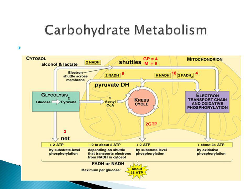 DYB20063 BIOCHEMISTRY