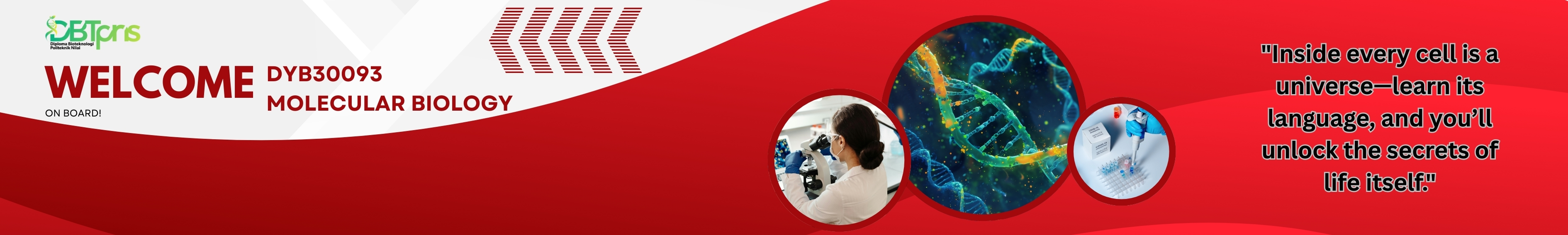 DYB30093 MOLECULAR BIOLOGY