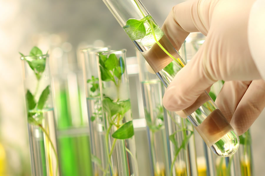 DYB40192 AGROBIOTECHNOLOGY
