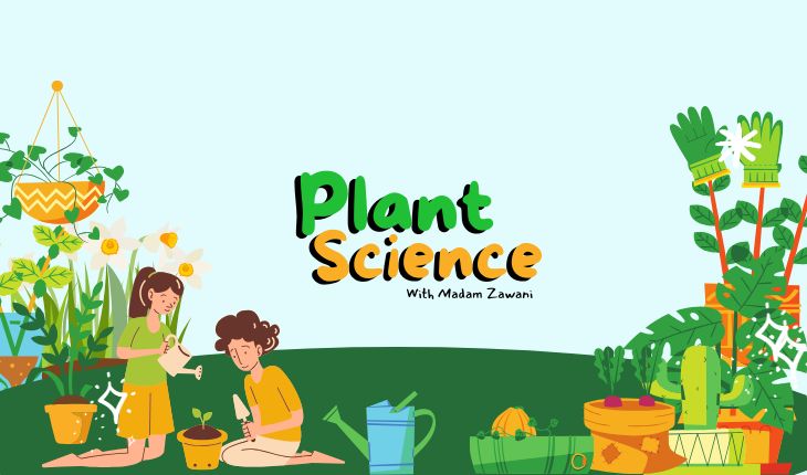 DYL10322 PLANT SCIENCE 