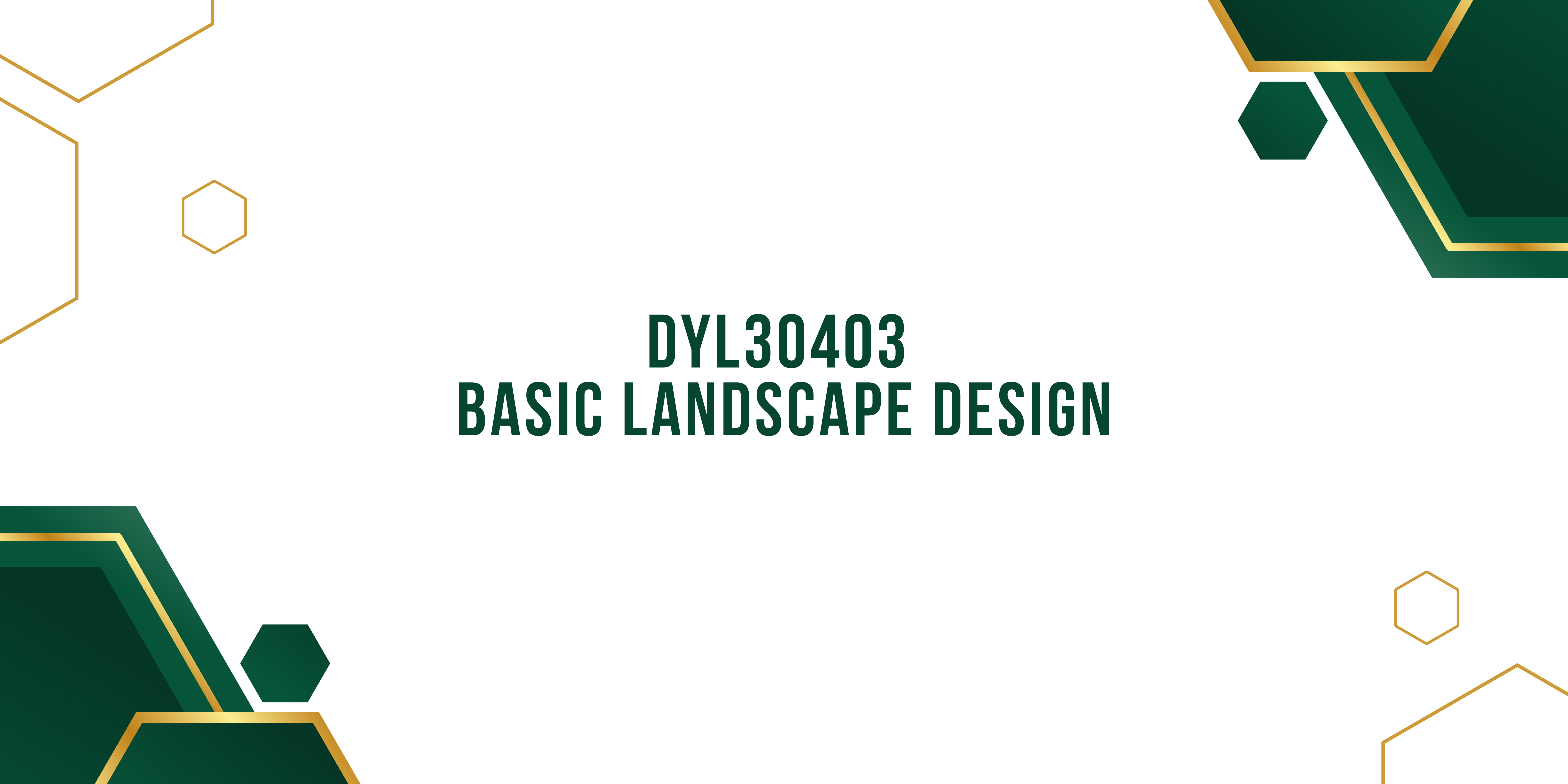 DYL30403 BASIC LANDSCAPE DESIGN
